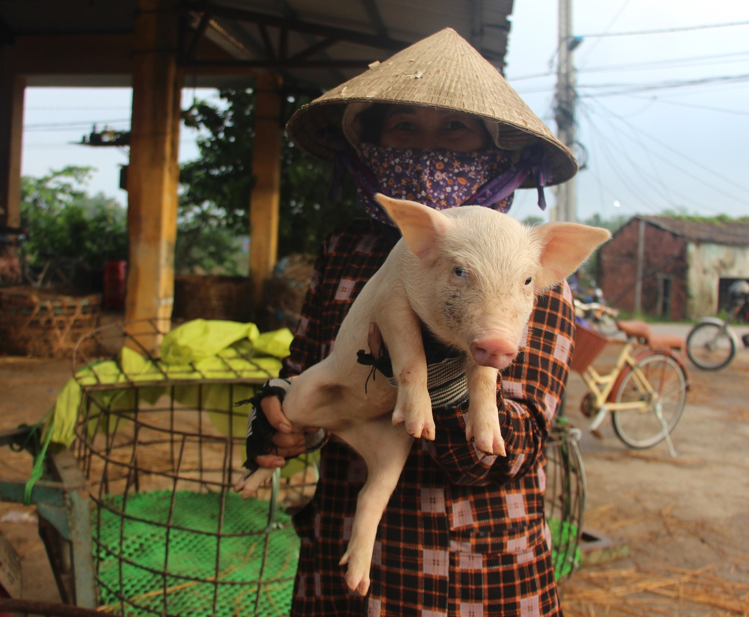 Một ngôi chợ đặc biệt ở Quảng Nam, bán heo theo kiểu rất lạ đời chẳng giống ở đâu, đó là bồng heo để bán- Ảnh 7.