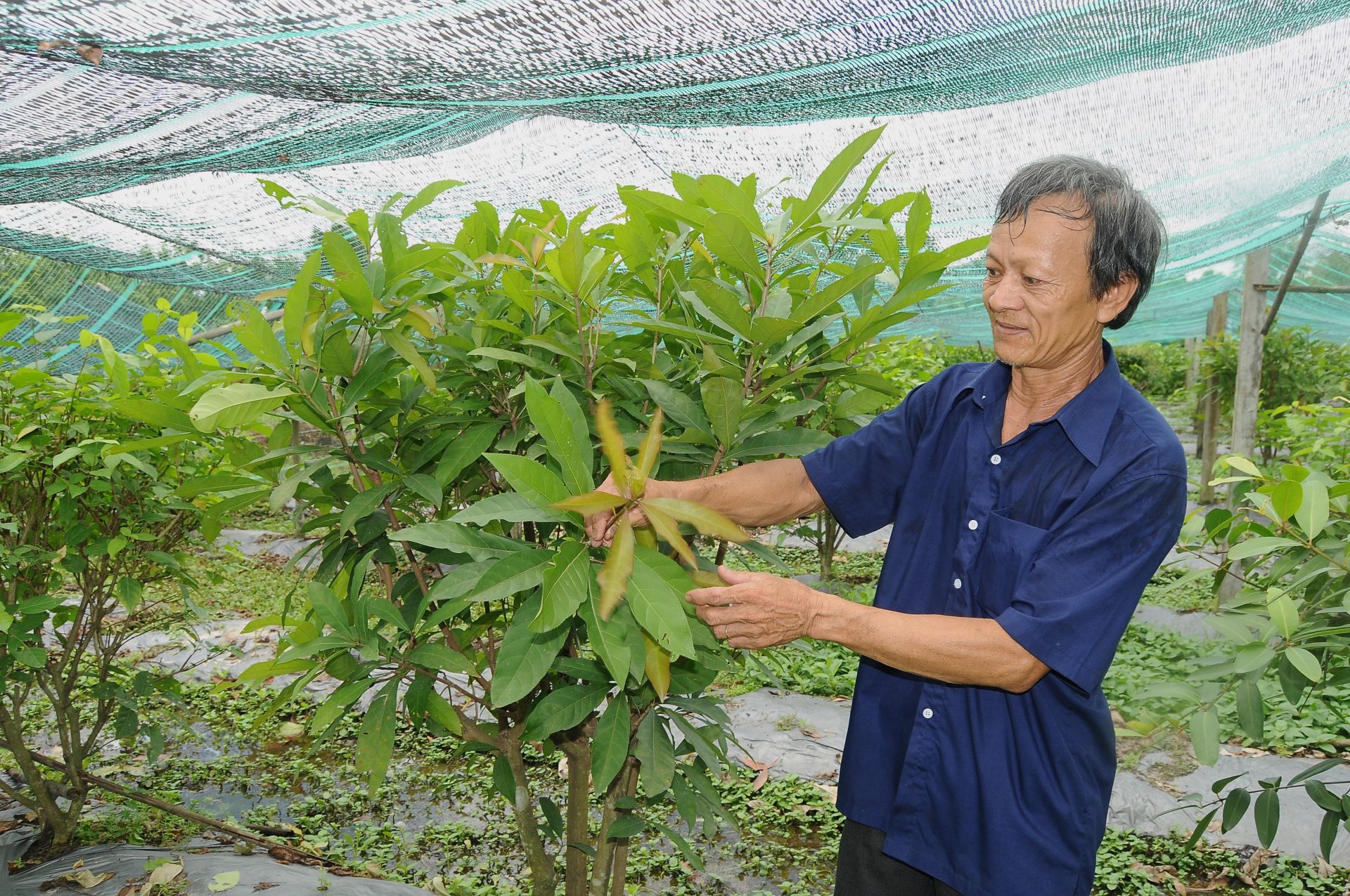 Ven sông Vàm Cỏ Đông, nhiều loại rau sông đặc sản tốt um được ví như "viên ngọc ẩn mình" của ẩm thực Tây Ninh- Ảnh 1.