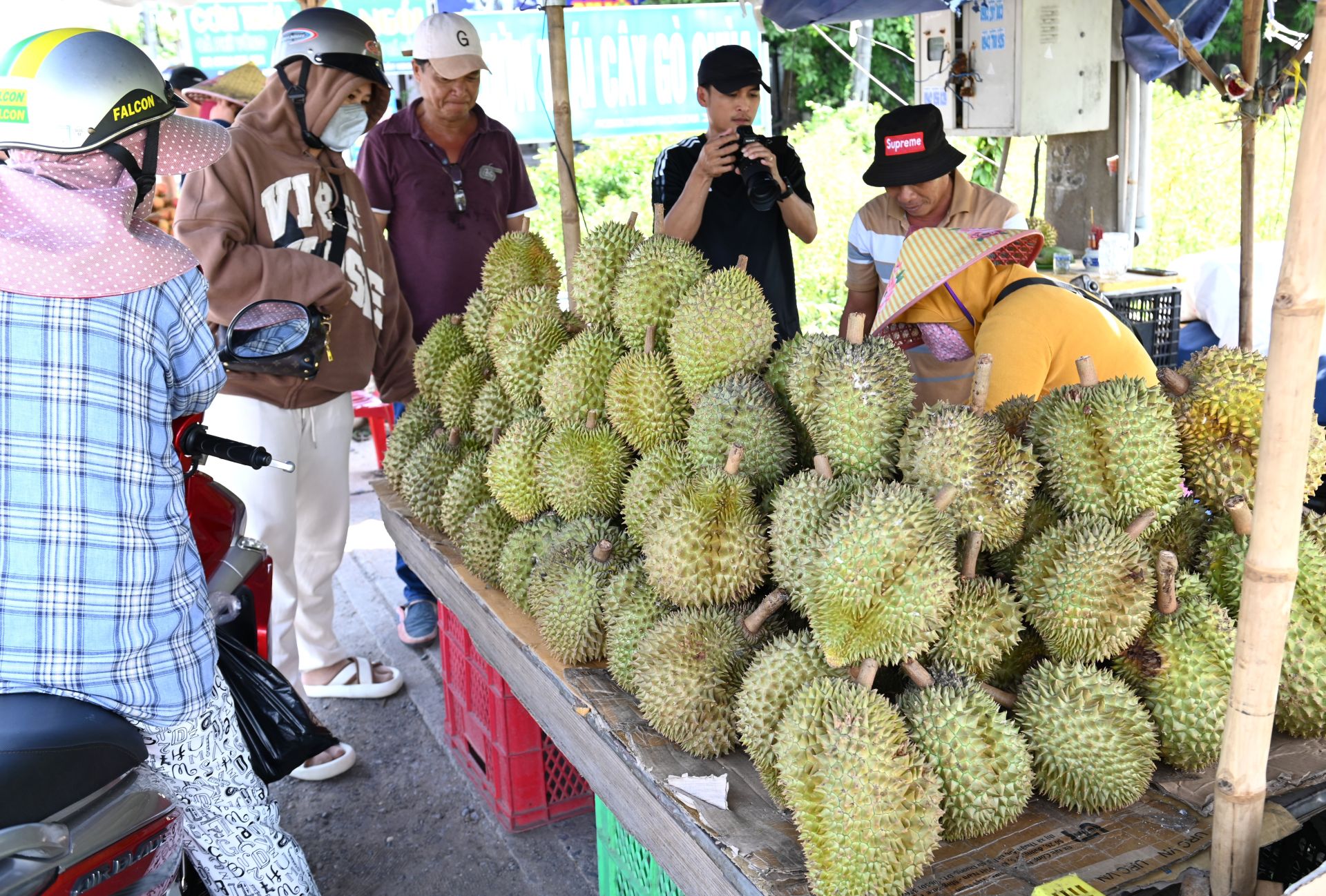 Ven sông Vàm Cỏ Đông, nhiều loại rau sông đặc sản tốt um được ví như "viên ngọc ẩn mình" của ẩm thực Tây Ninh- Ảnh 7.