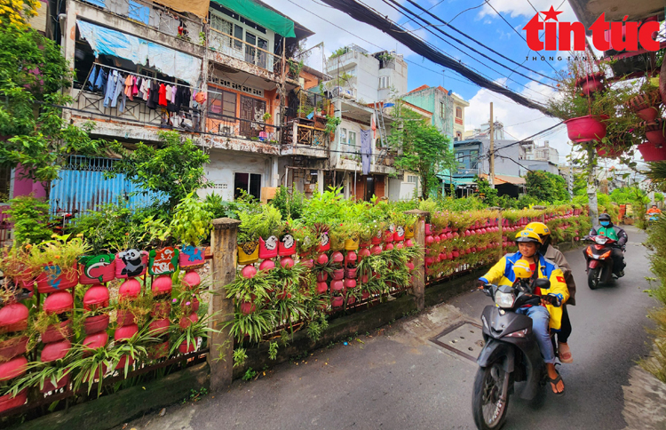 Dân tình săn tìm căn nhà màu hồng có hàng trăm chậu cây cảnh sơn màu hồng của một người Sài Gòn- Ảnh 7.