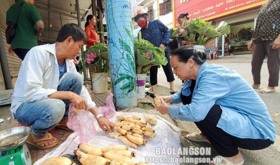 Củ sen là vựa chất chống oxy hóa, ở Hàn Quốc quý như sâm, giúp nông dân Lạng Sơn khá giả- Ảnh 10.