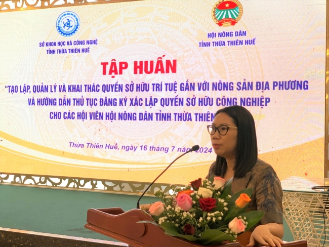 Tập huấn tạo lập, khai thác quyền sở hữu trí tuệ gắn với nông sản cho hội viên,nông dân tỉnh TT-Huế- Ảnh 2.