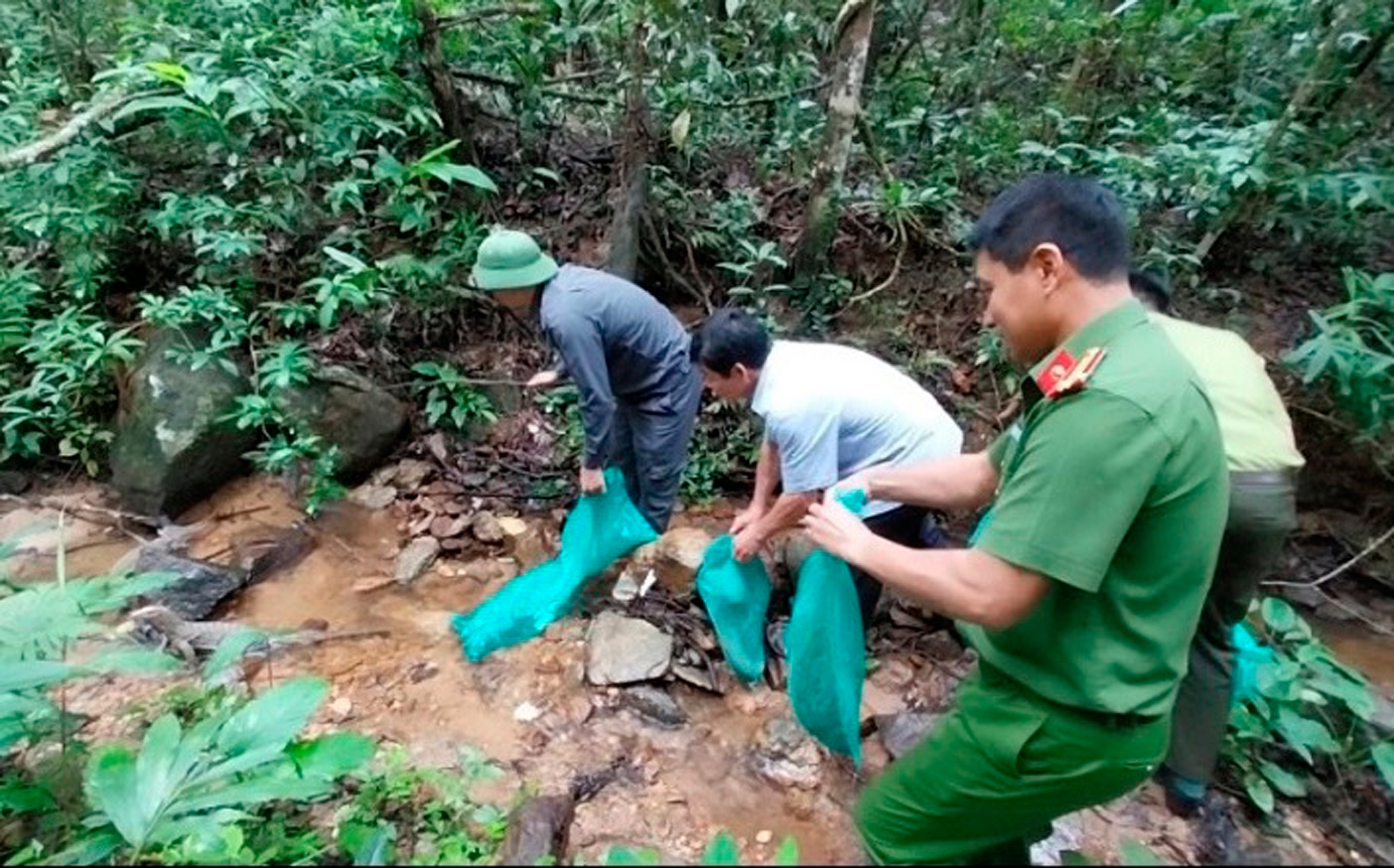 Trăn gấm, kỳ đà vân - 9 con động vật hoang dã được thả về khu rừng ở Gia Lai- Ảnh 1.