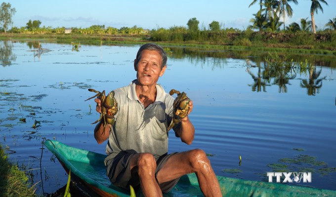 Ở Kiên Giang, nông dân nuôi cua biển bắt lên toàn con to bự thế này đây, giá cua biển cứ tăng- Ảnh 2.