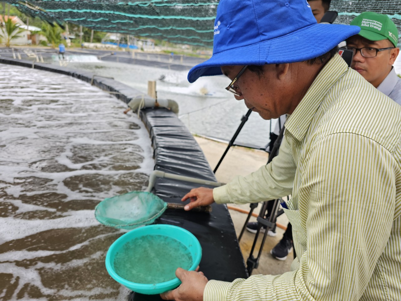 Nuôi tôm thẻ chân trắng bằng công nghệ Semi-biofloc ở Khánh Hòa, tôm lớn nhanh, con to bự- Ảnh 1.