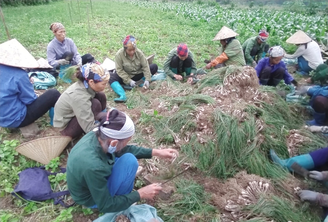 Bắc Kạn triển khai nhiều giải pháp nâng cao hiệu quả chương trình xây dựng nông thôn mới- Ảnh 1.