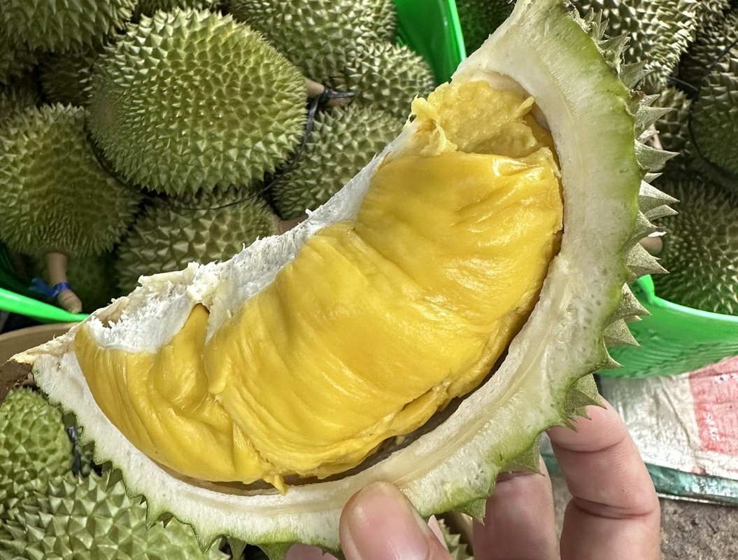 Trước khi rớt giá thê thảm, sầu riêng Musang King đắt cỡ nào?- Ảnh 10.