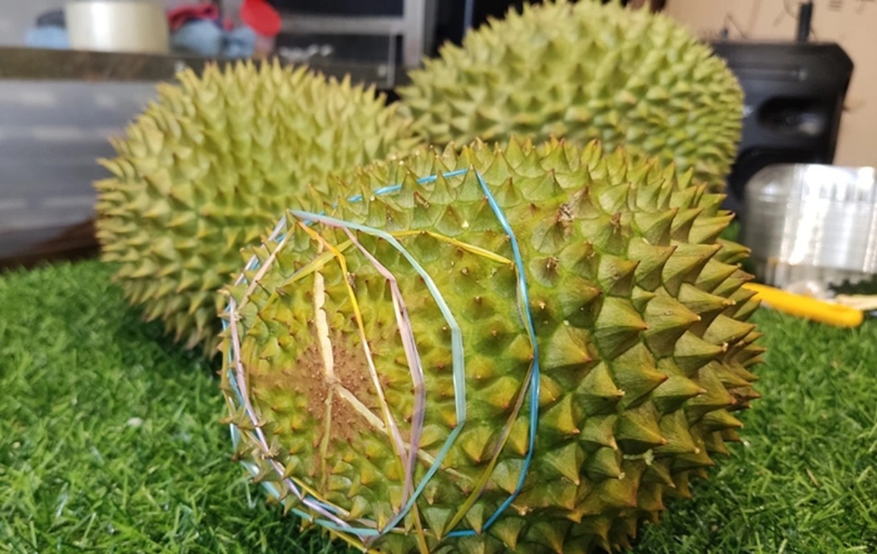 Trước khi rớt giá thê thảm, sầu riêng Musang King đắt cỡ nào?- Ảnh 7.