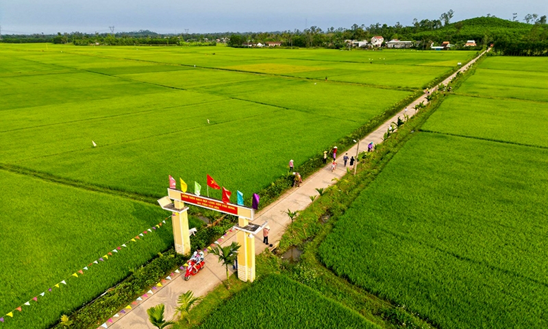 Làm nông thôn mới nâng cao, người dân huyện Phú Ninh của tỉnh Quảng Nam thu nhập 55,5 triệu đồng/người/năm- Ảnh 3.