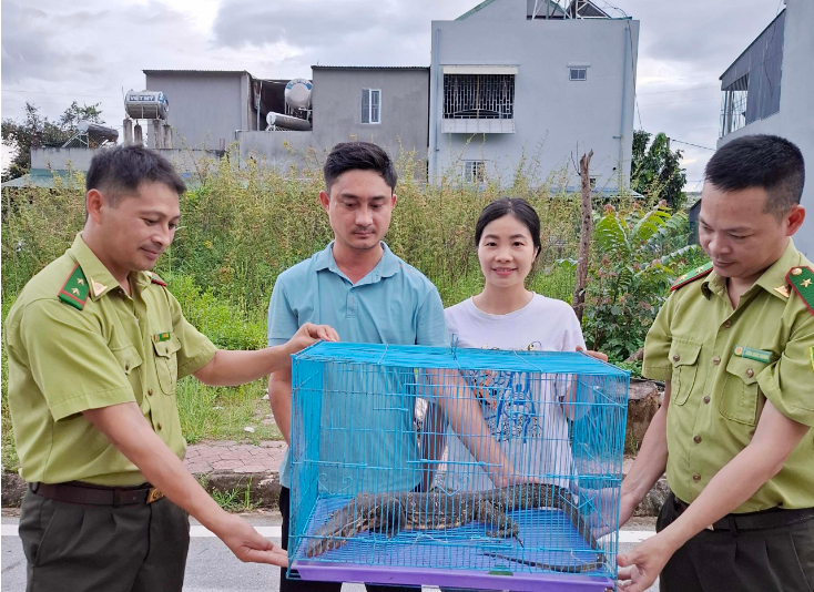 Lai Châu: Bàn giao cá thể kỳ đà hoa nặng 2,6kg thả về tự nhiên- Ảnh 2.