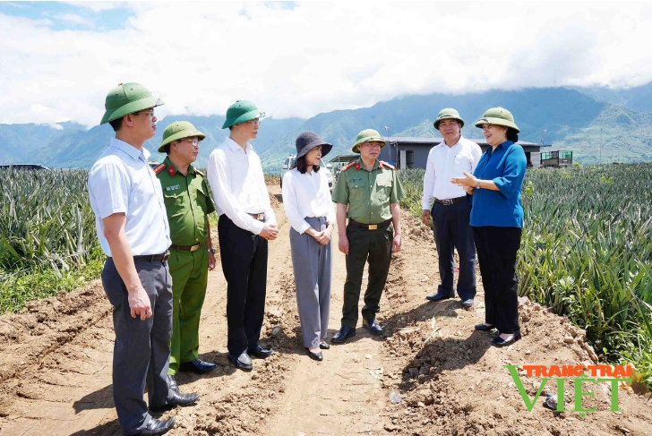 Bí thư Tỉnh ủy Lai Châu tặng quà gia đình chính sách ở huyện Tân Uyên- Ảnh 2.