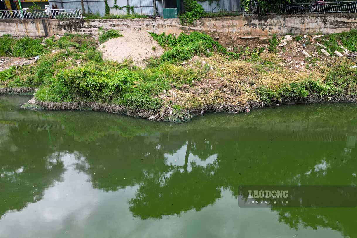 Nước sông Tô Lịch bất ngờ đổi màu xanh ngắt- Ảnh 3.