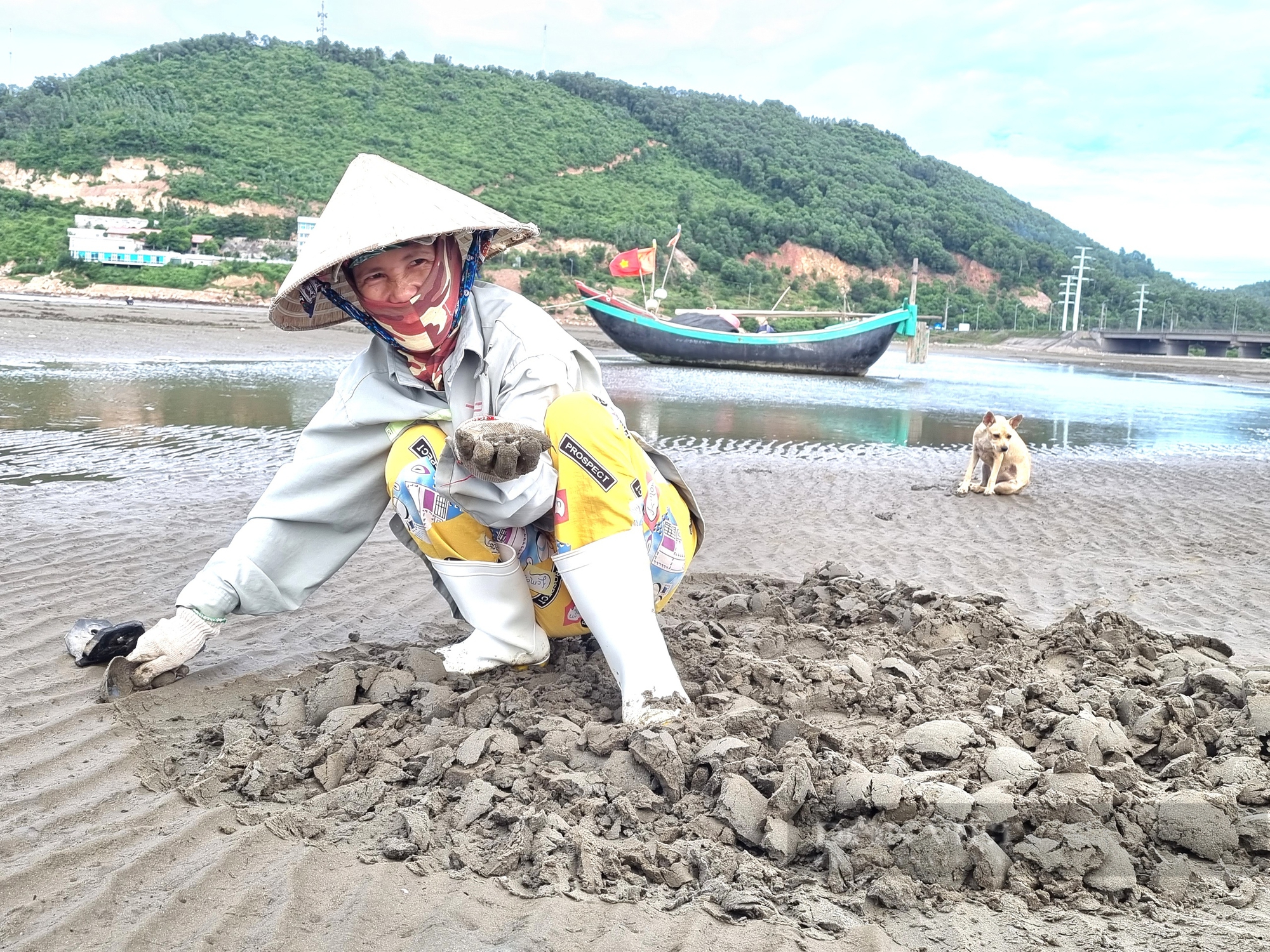 Cào con ngao nhớt, chưa kịp lên bờ đã bán hết sạch, người dân vùng biển Thanh Hóa có ngay tiền tươi- Ảnh 2.