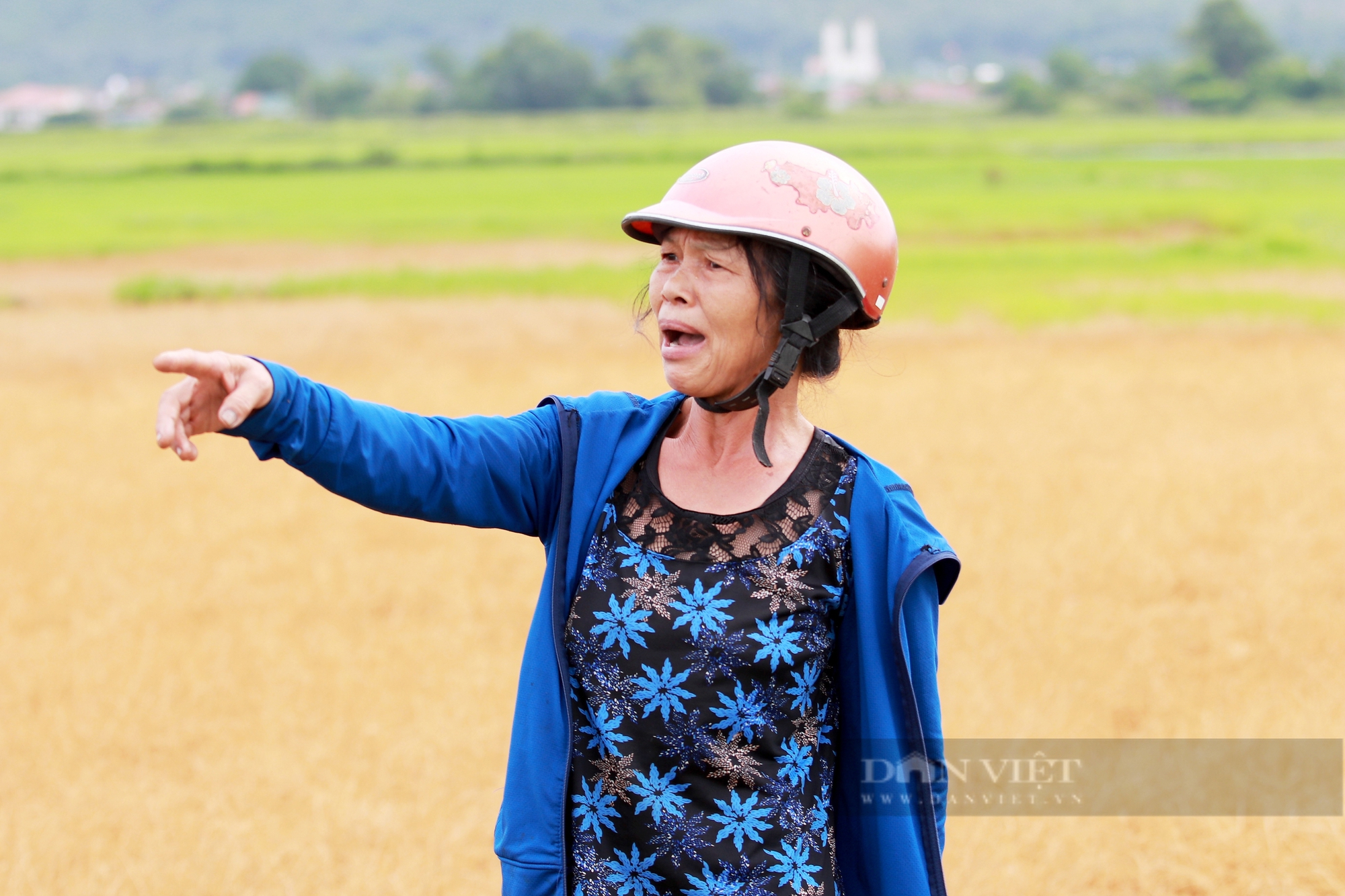 Hà Tĩnh: Ruộng lúa chết khô do sự cố tràn dầu tại dự án thi công đường cao tốc - Ảnh 3.