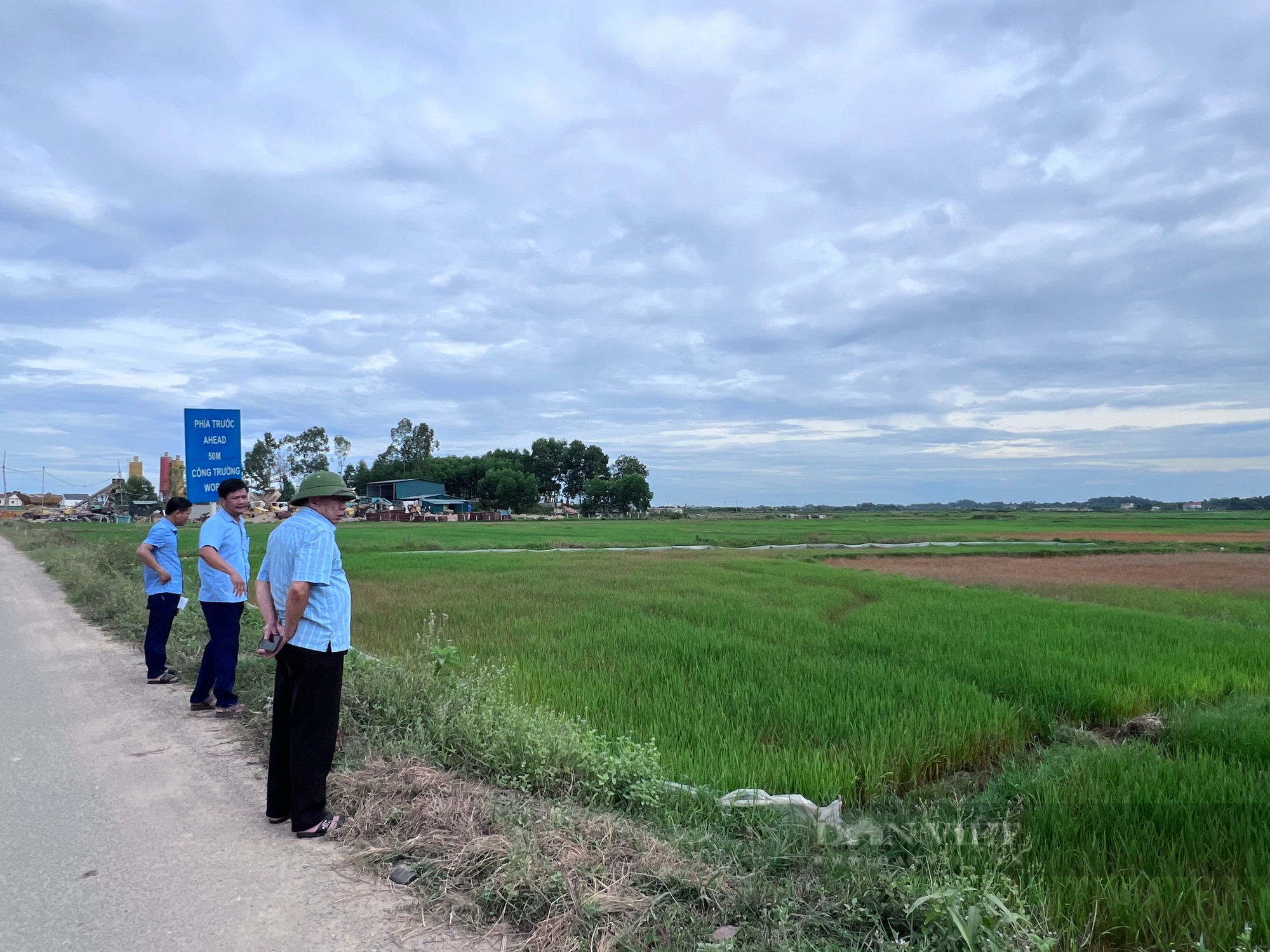 Hà Tĩnh: Ruộng lúa chết khô do sự cố tràn dầu tại dự án thi công đường cao tốc - Ảnh 6.