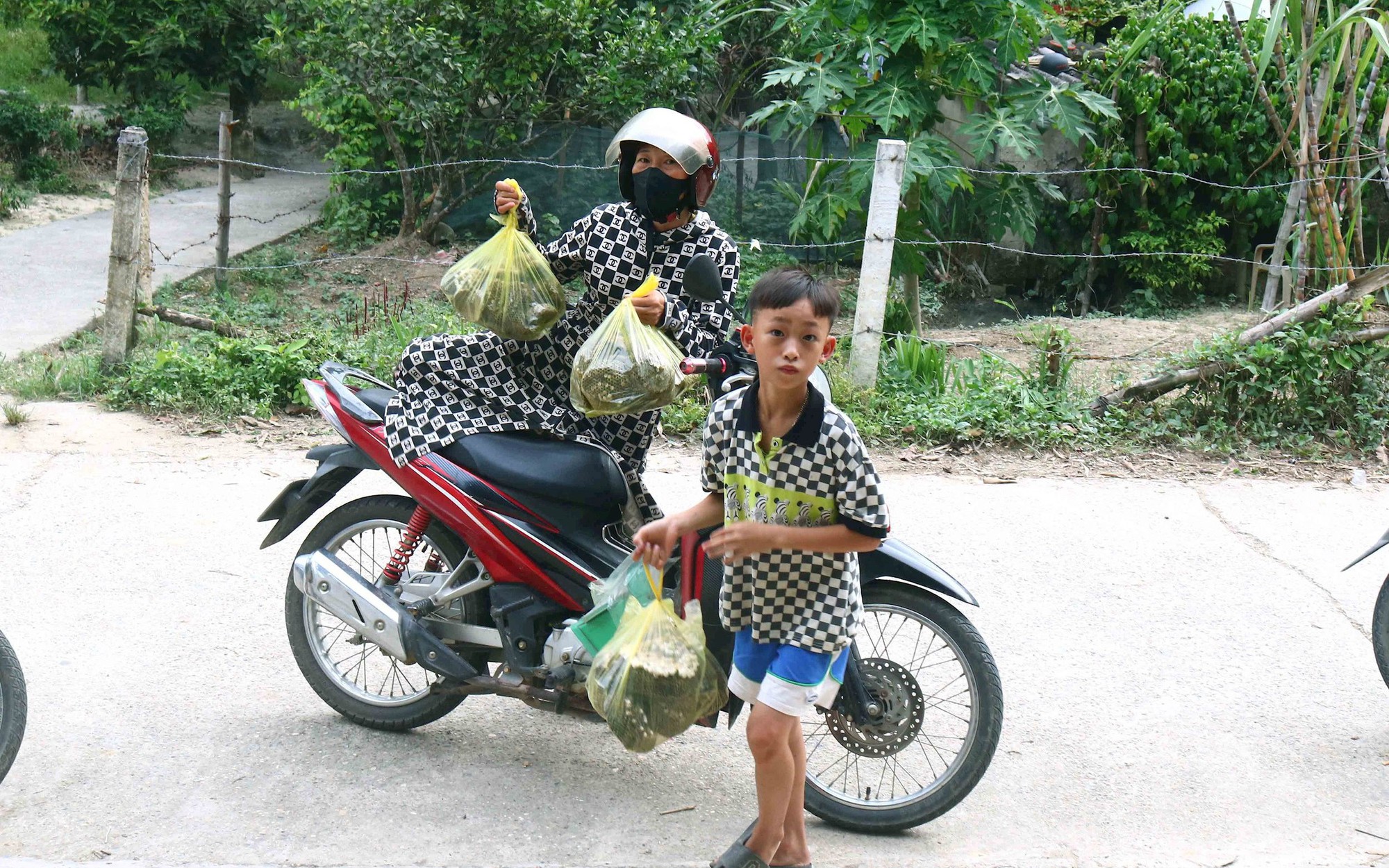 Người dân Nghệ An đổ xô vào rừng săn tổ ong, vài ngày lại có thương lái Trung Quốc đến mua, trả giá tiền triệu