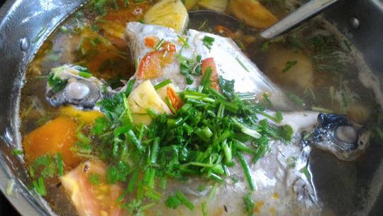 Cá từ bi ở biển Bình Thuận là cá gì mà nổi tiếng ngon, lạ, quý hiếm, ăn vào sẽ từ bi?- Ảnh 3.
