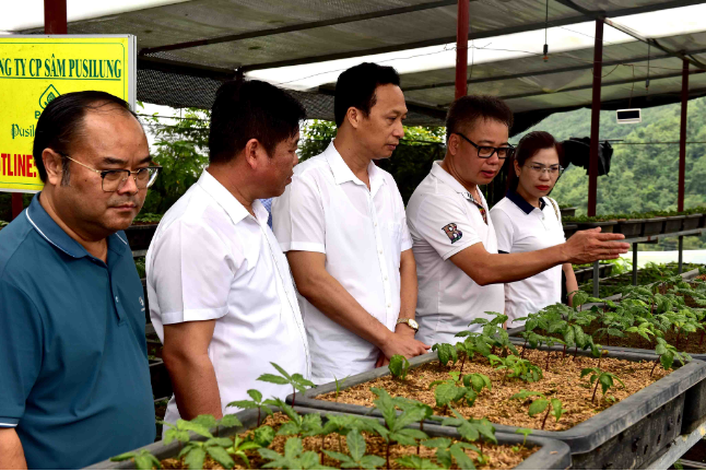 Tăng cường hợp tác phát triển sản xuất nông - lâm nghiệp và du lịch giữa bốn huyện- Ảnh 2.