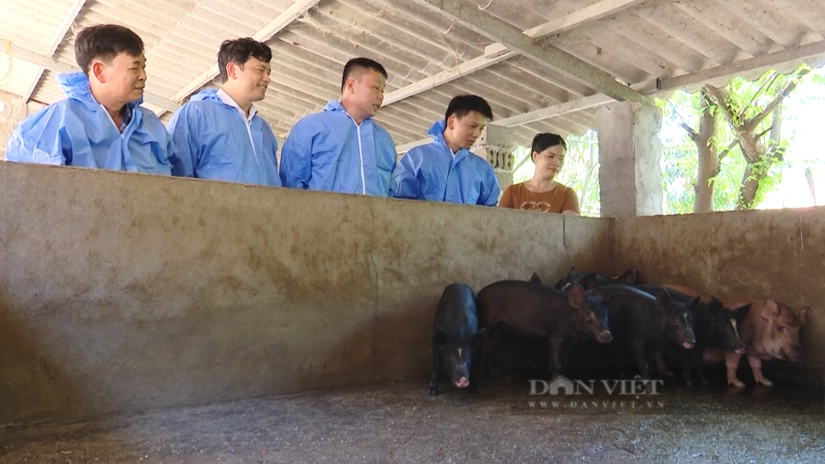 Nông dân Sơn La "mở lòng" với vắc xin Dịch tả lợn châu Phi mới, hiệu quả thấy rõ- Ảnh 4.