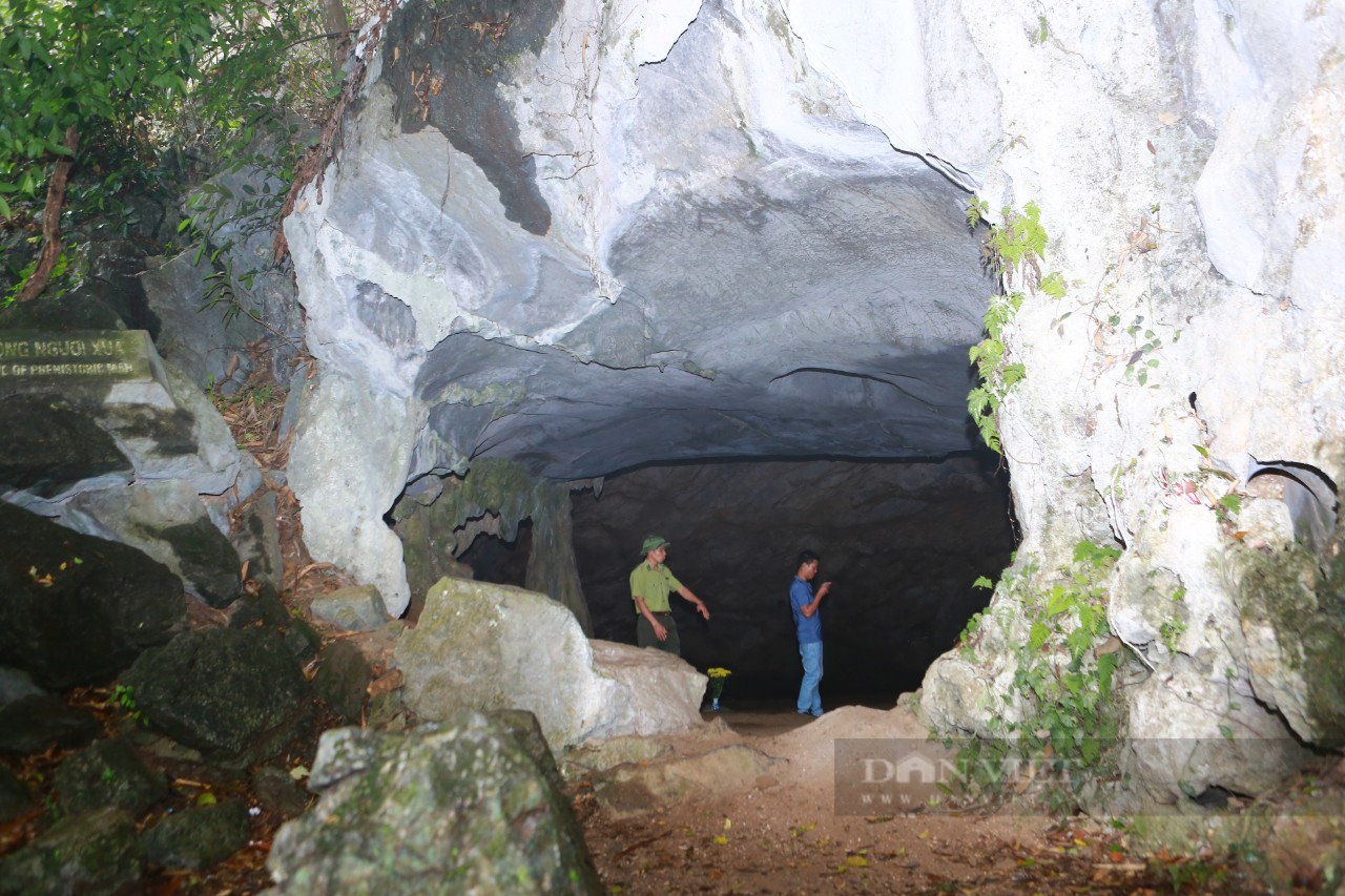 Một hang động ở khu rừng phía Ninh Bình phát hiện 3 ngôi mộ cổ, cùng các bộ xương người đã hoá thạch - Ảnh 1.