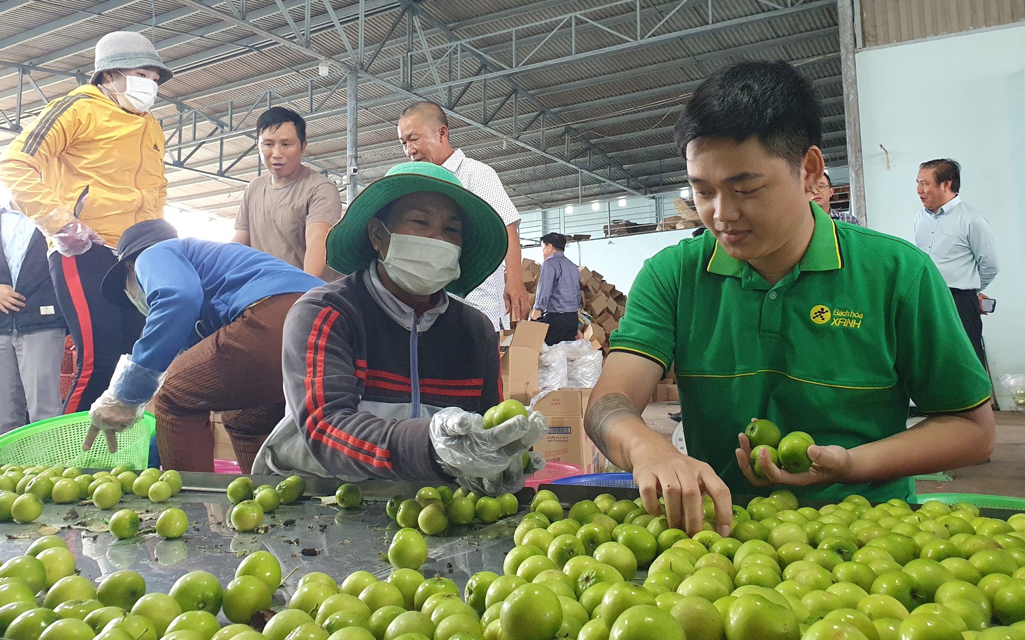 Đồng Nai, Ninh Thuận kết nối kinh doanh, xúc tiến đầu tư  - Ảnh 2.