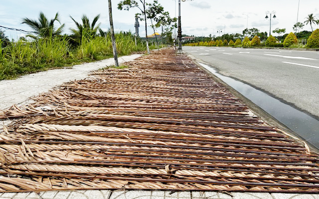 “Miền Tây” thu nhỏ của TP.Quảng Ngãi đã chính thức có danh phận trên bản đồ du lịch- Ảnh 10.