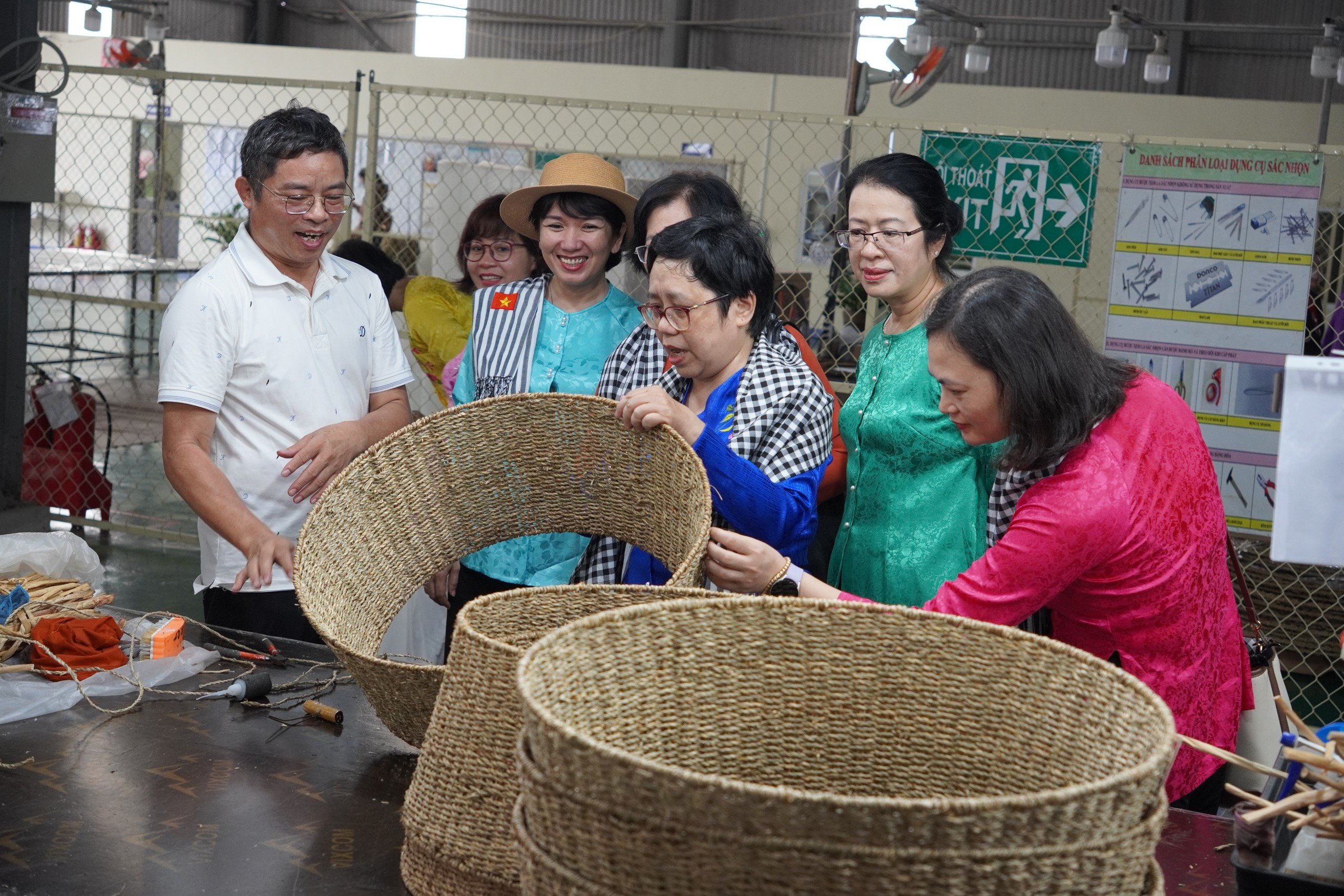 Cây Lục Bình: Biến Từ Cản Trở Thành Động Lực Cải Thiện Kinh Tế