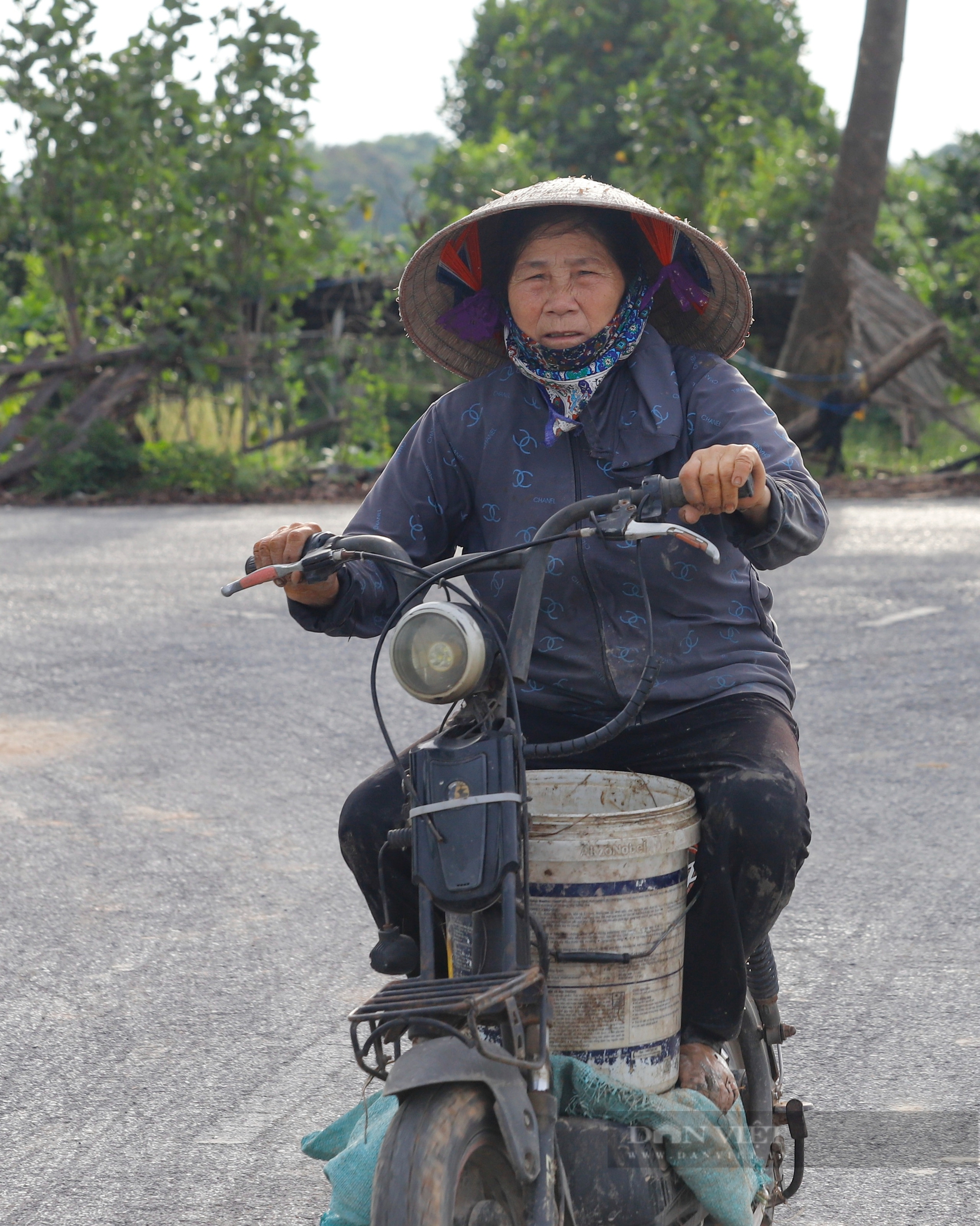 Đường nhựa trải tận ruộng, nông dân ngoại thành Hà Nội tất bật ra đồng cấy lúa bằng xe đạp điện- Ảnh 7.