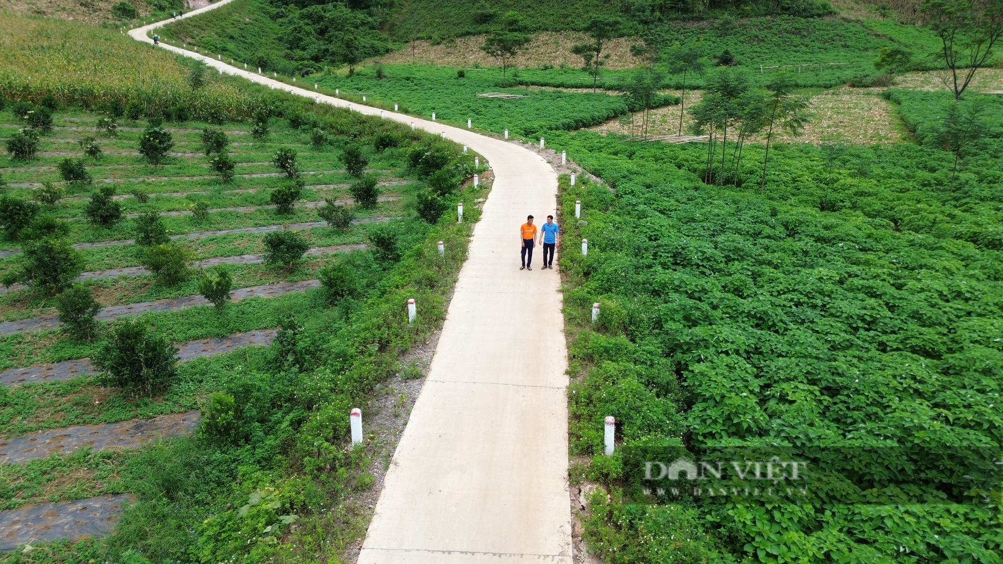 Đây là một xã của Hòa Bình đang nỗ lực hoàn thành các tiêu chí, dồn sức về đích nông thôn mới- Ảnh 1.