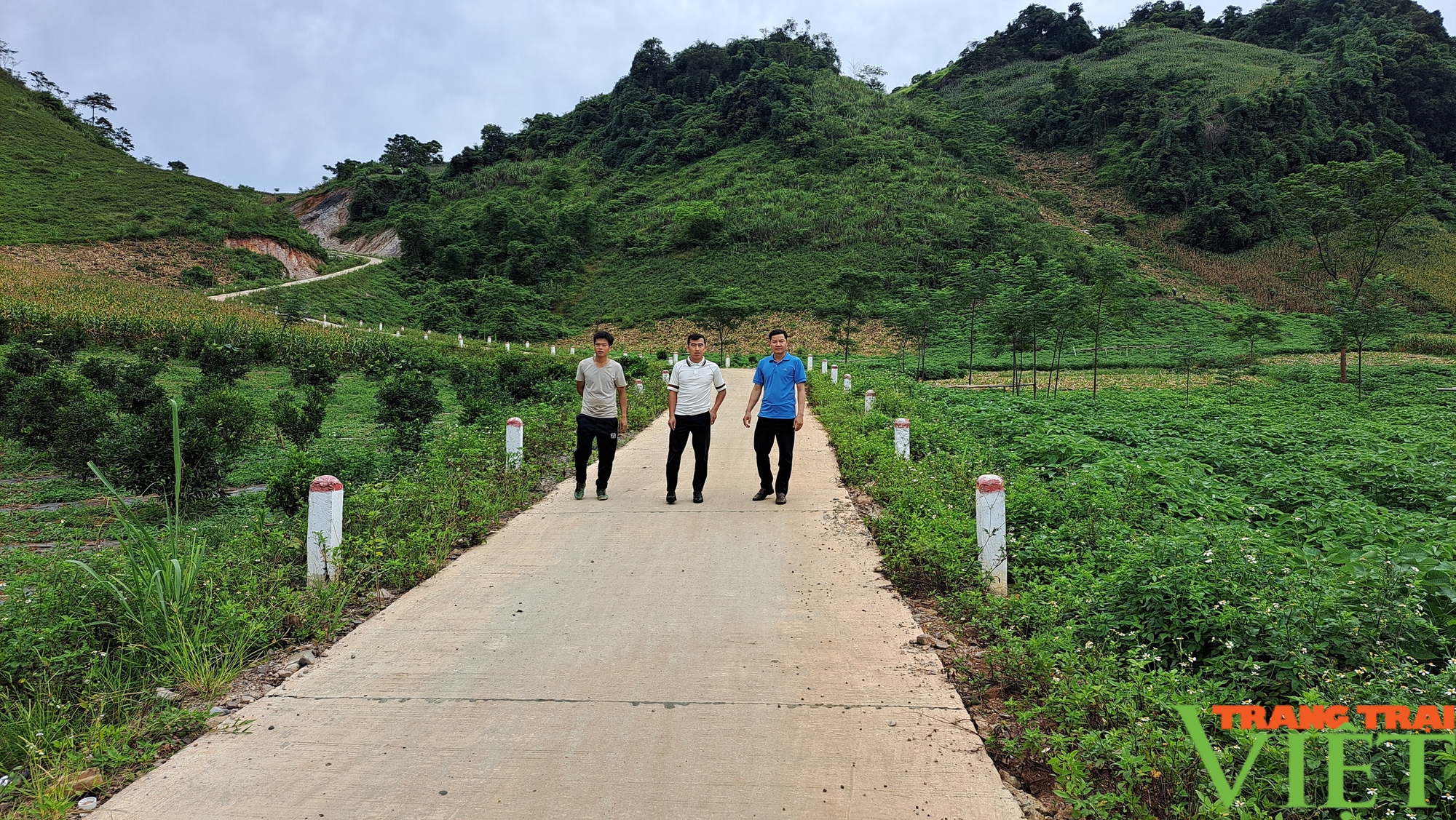 Đà Bắc: Yên Hòa nỗ lực hoàn thành các tiêu chí, dồn sức về đích nông thôn mới- Ảnh 2.