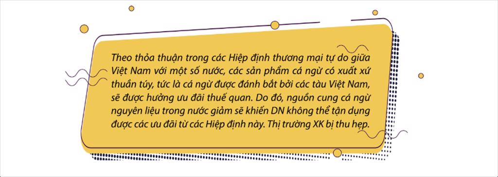 Nguồn cung cá ngừ nguyên liệu trong nước giảm sẽ kìm hãm xuất khẩu- Ảnh 2.