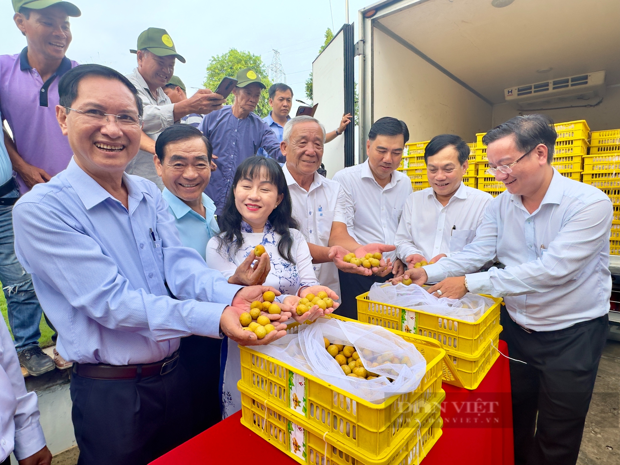 Cứ tới mùa, dân Mỹ lại chờ để mua ăn thanh nhãn, trái cây "da mỏng, thịt ngọt" trồng ở Cần Thơ- Ảnh 1.