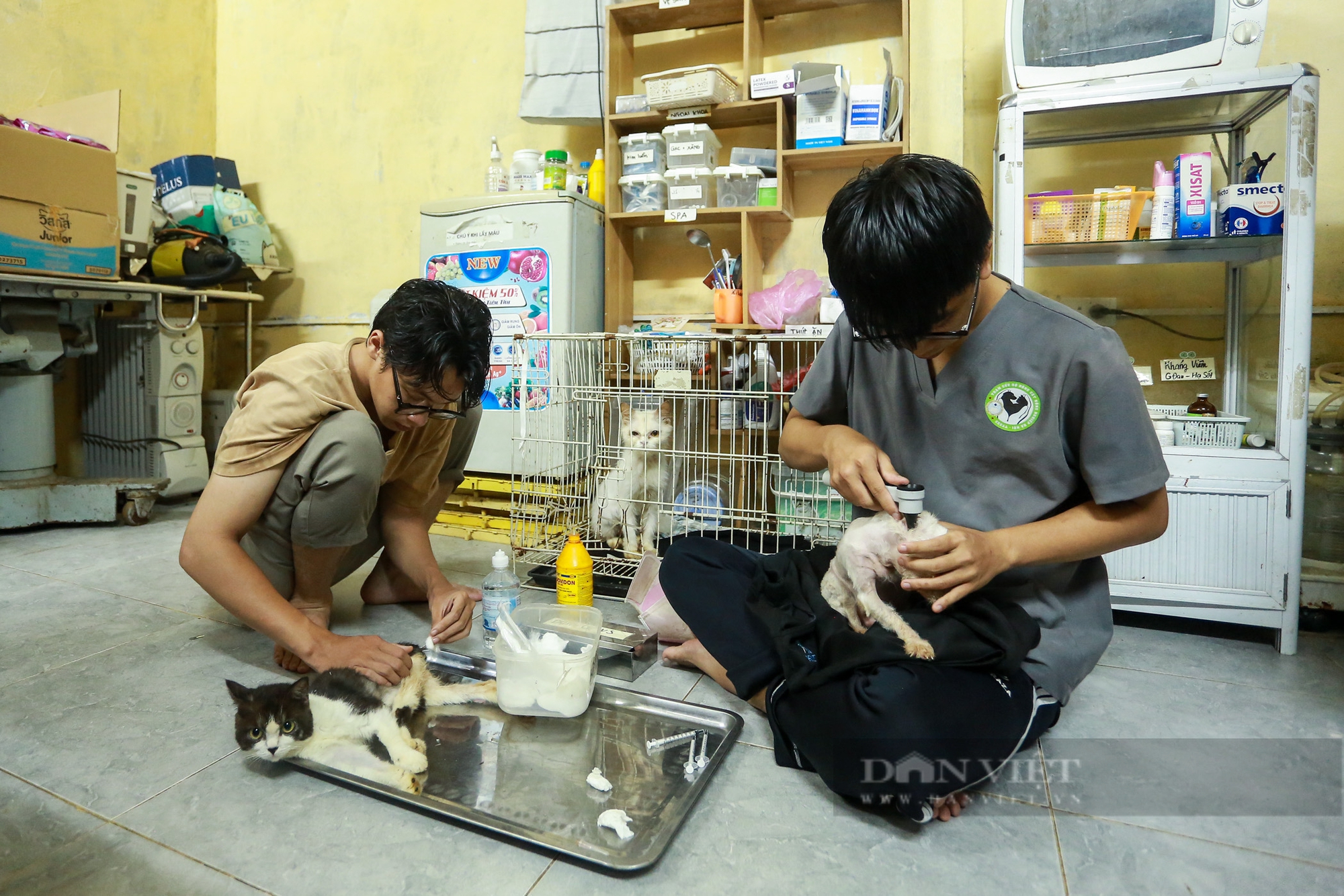 Trạm cứu hộ động vật phi lợi nhuận của sinh viên Học viện Nông nghiệp Việt Nam- Ảnh 5.