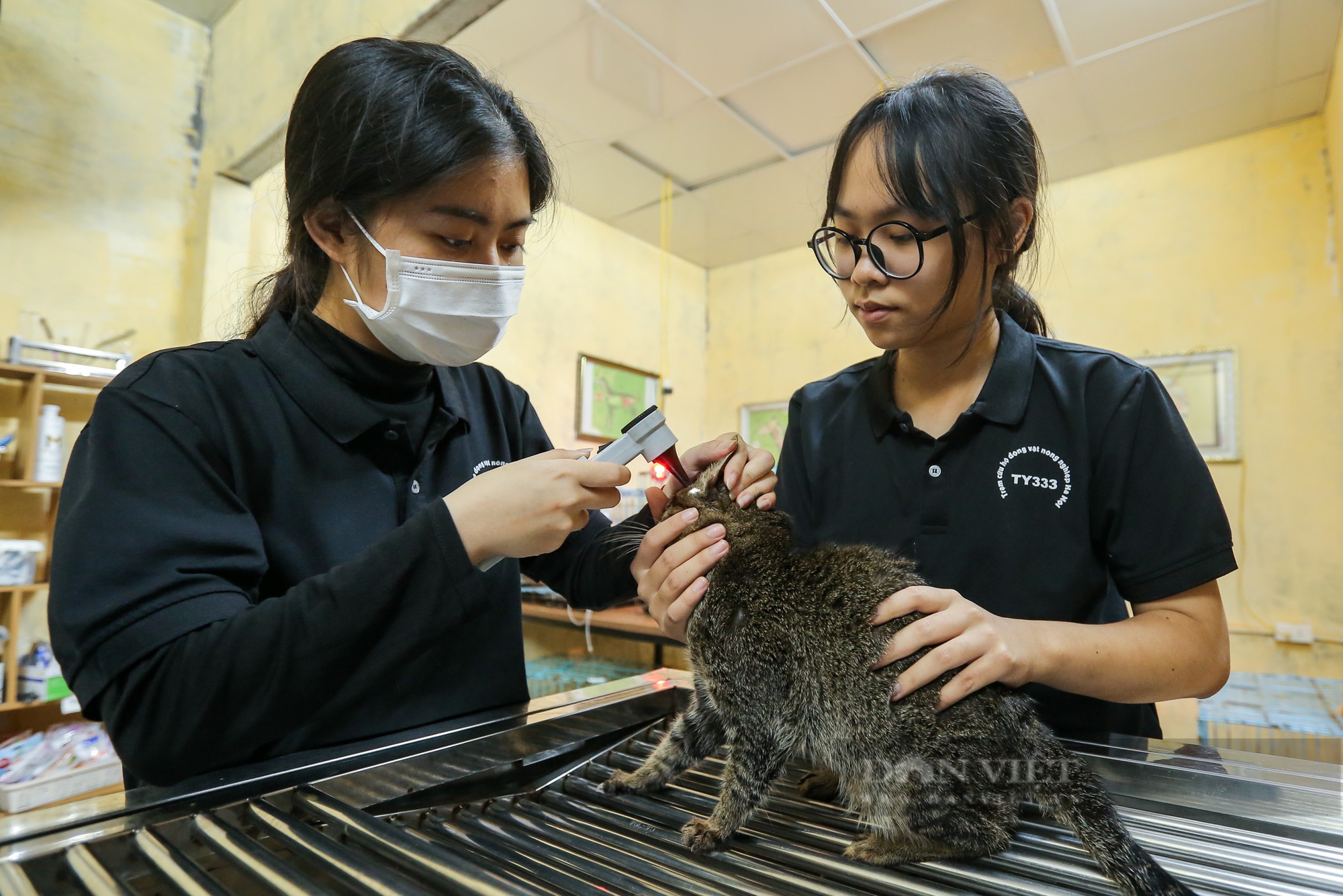 Trạm cứu hộ động vật phi lợi nhuận của sinh viên Học viện Nông nghiệp Việt Nam- Ảnh 13.