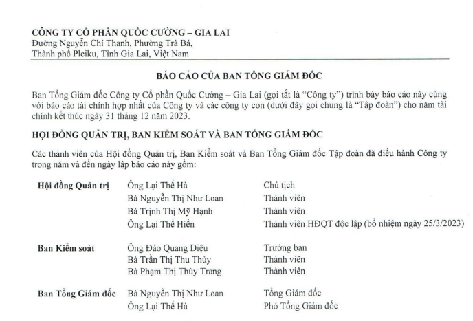 Bà Nguyễn Thị Như Loan bị bắt, Cường Đô la sẽ thay mẹ điều hành Quốc Cường Gia Lai?- Ảnh 7.