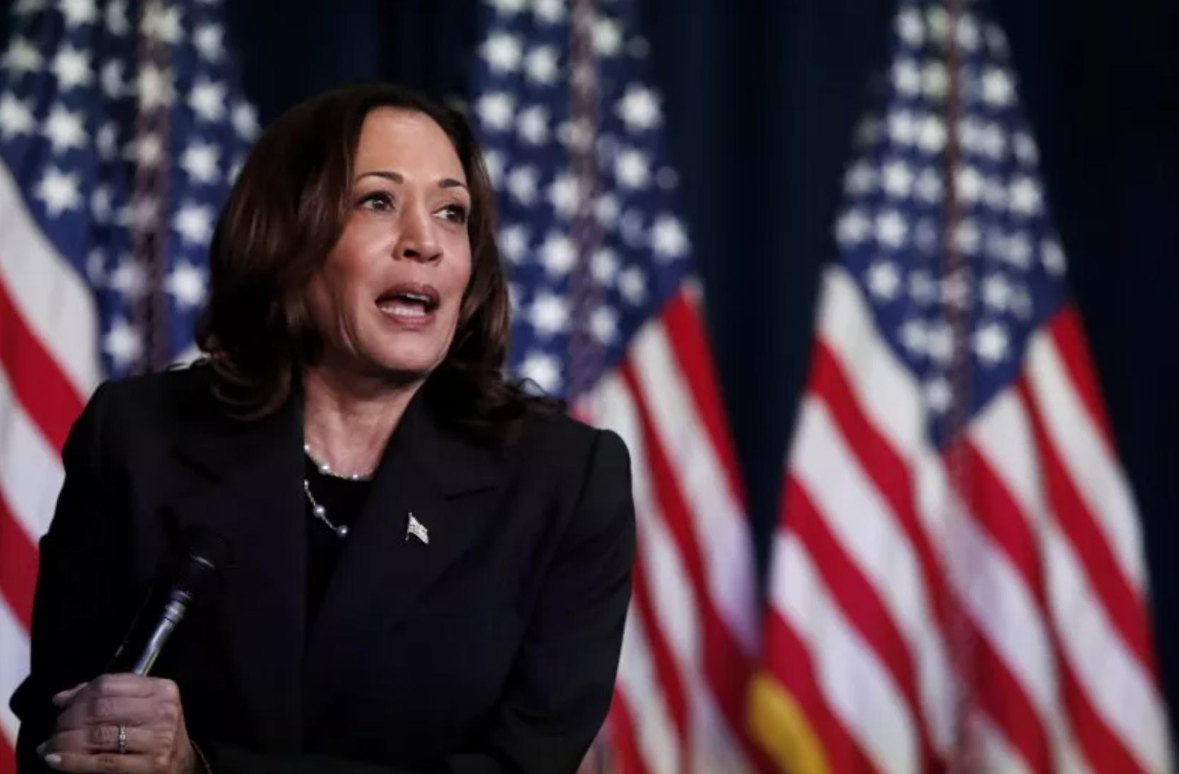 Giành đủ phiếu để được đề cử của Đảng Dân chủ, bà Kamala Harris phá vỡ kỷ lục quyên góp- Ảnh 1.