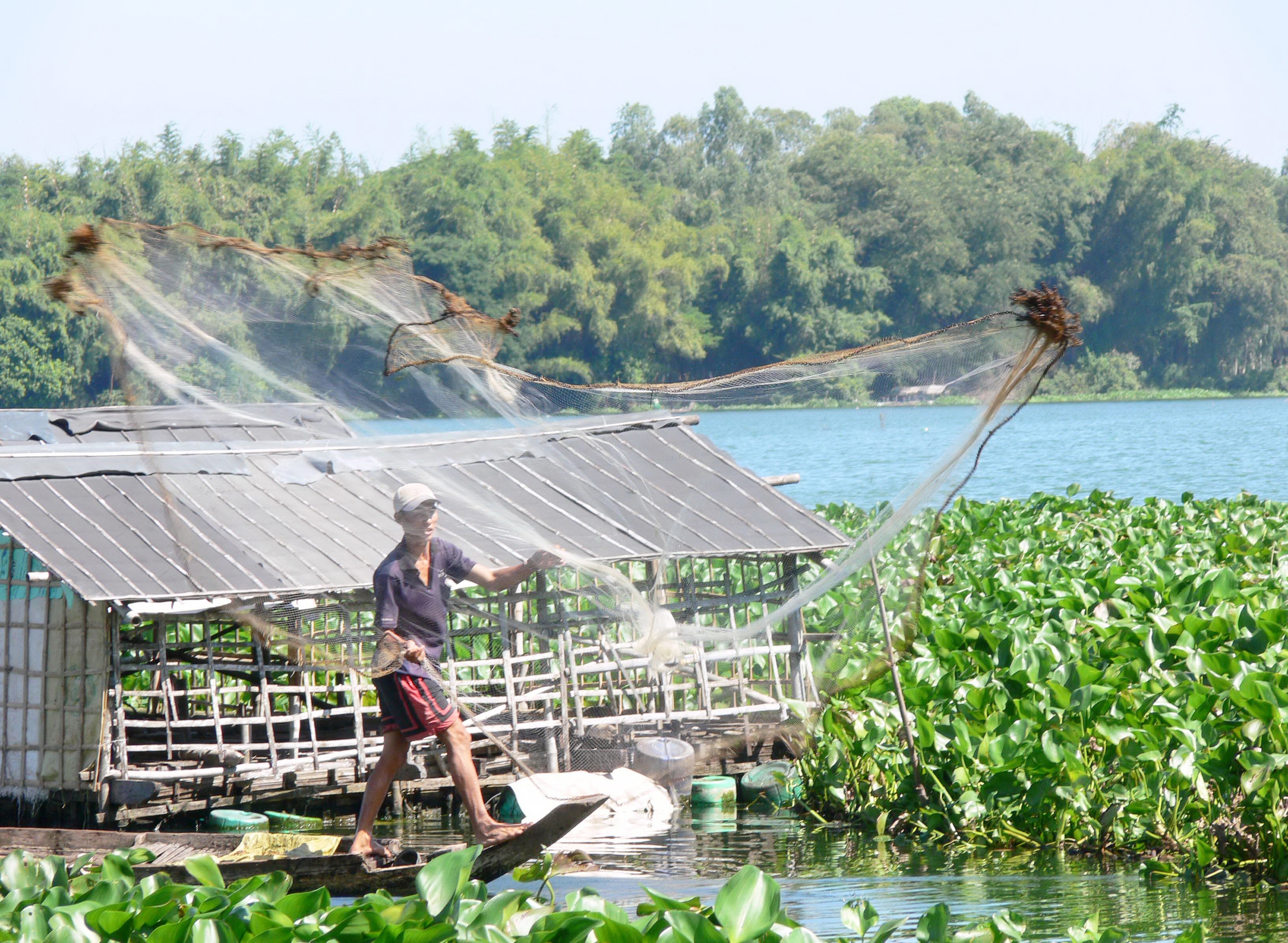 Đi tìm những "làng quê đáng sống": Tìm cách kéo lao động trở về với miệt vườn miền Tây (Bài 6)- Ảnh 5.