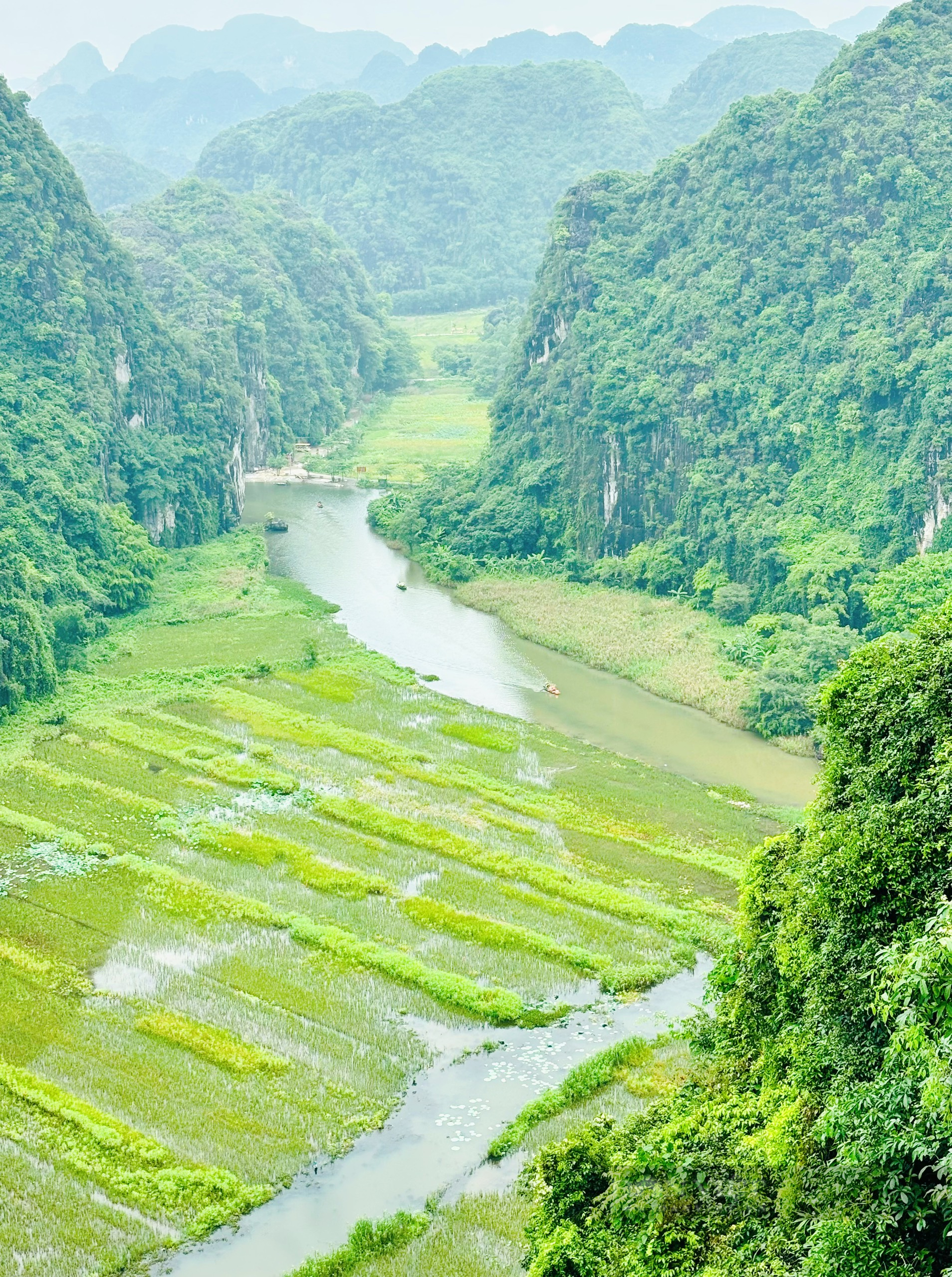 Lý do nhiều người chọn điểm đến Hang Múa- Ảnh 2.