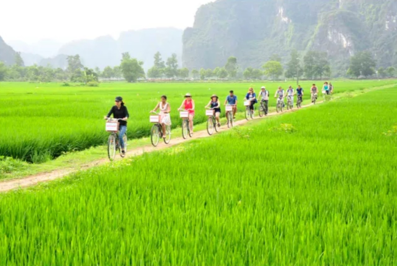 Ninh Bình: Dịch vụ cho thuê xe đạp du lịch “đắt khách”, thu nhập khá- Ảnh 6.