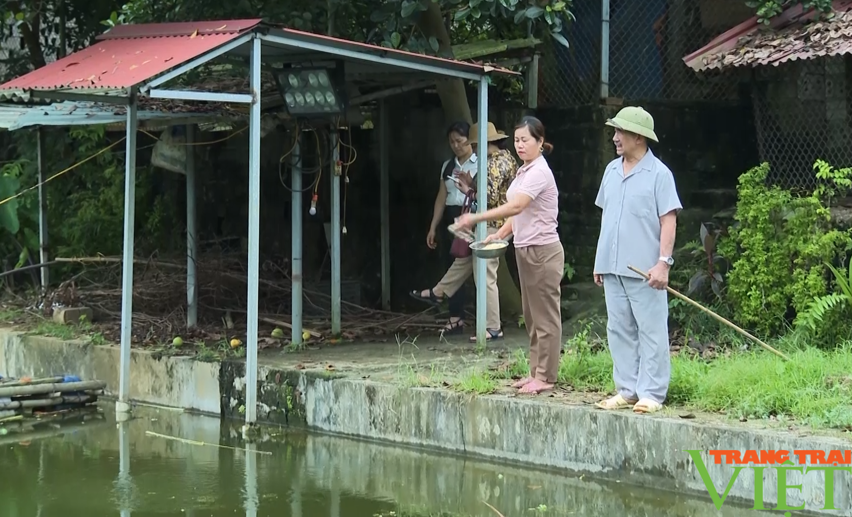 Lão nông U70 ở Lào Cai thu nửa tỷ mỗi năm từ mô hình kinh tế tổng hợp- Ảnh 3.