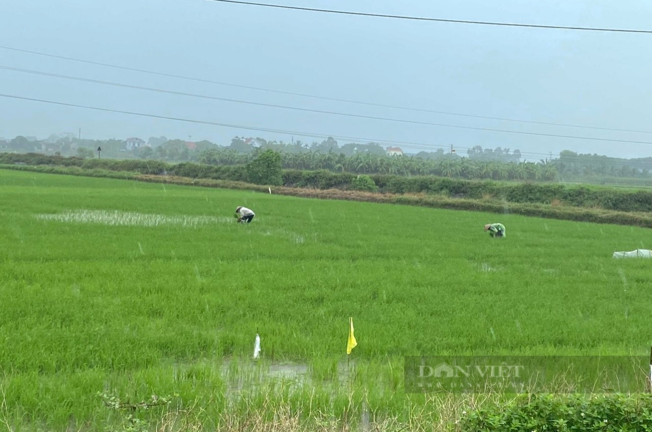 Một huyện của Ninh Bình có thu nhập bình quân đầu người hơn 70 triệu đồng/người/năm, là huyện nào?- Ảnh 2.