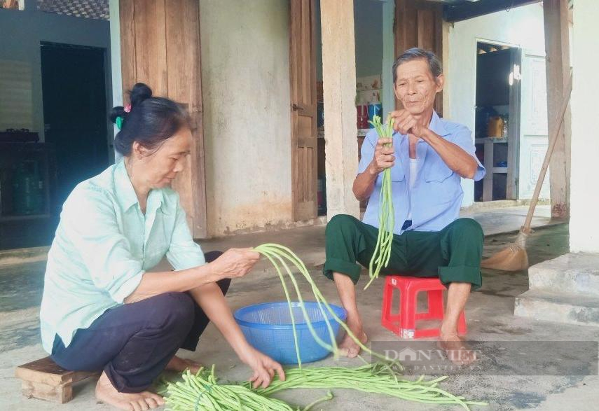 Xúc động câu chuyện của người lính già ở Lào Cai- Ảnh 5.