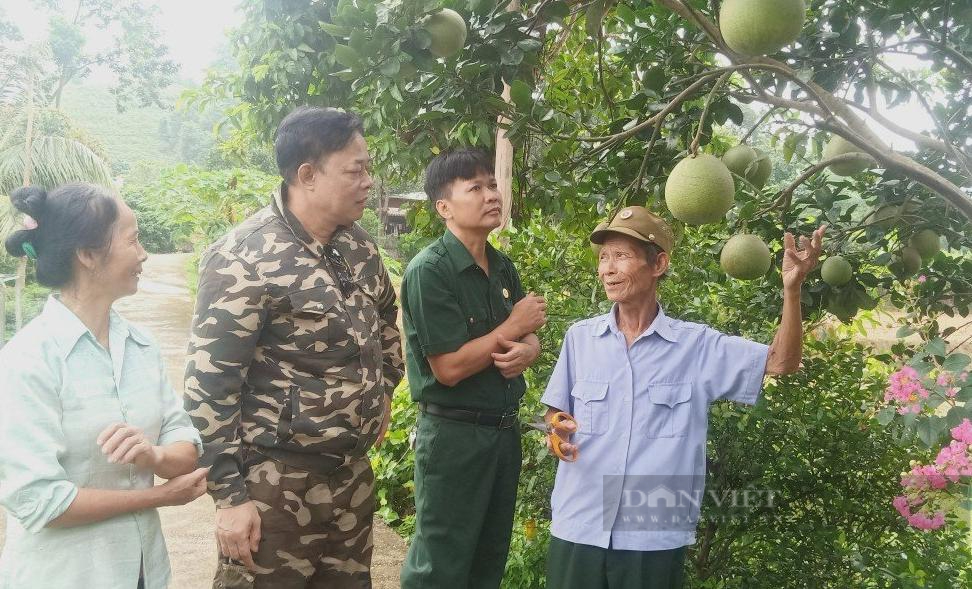 Xúc động câu chuyện của người lính già ở Lào Cai- Ảnh 7.