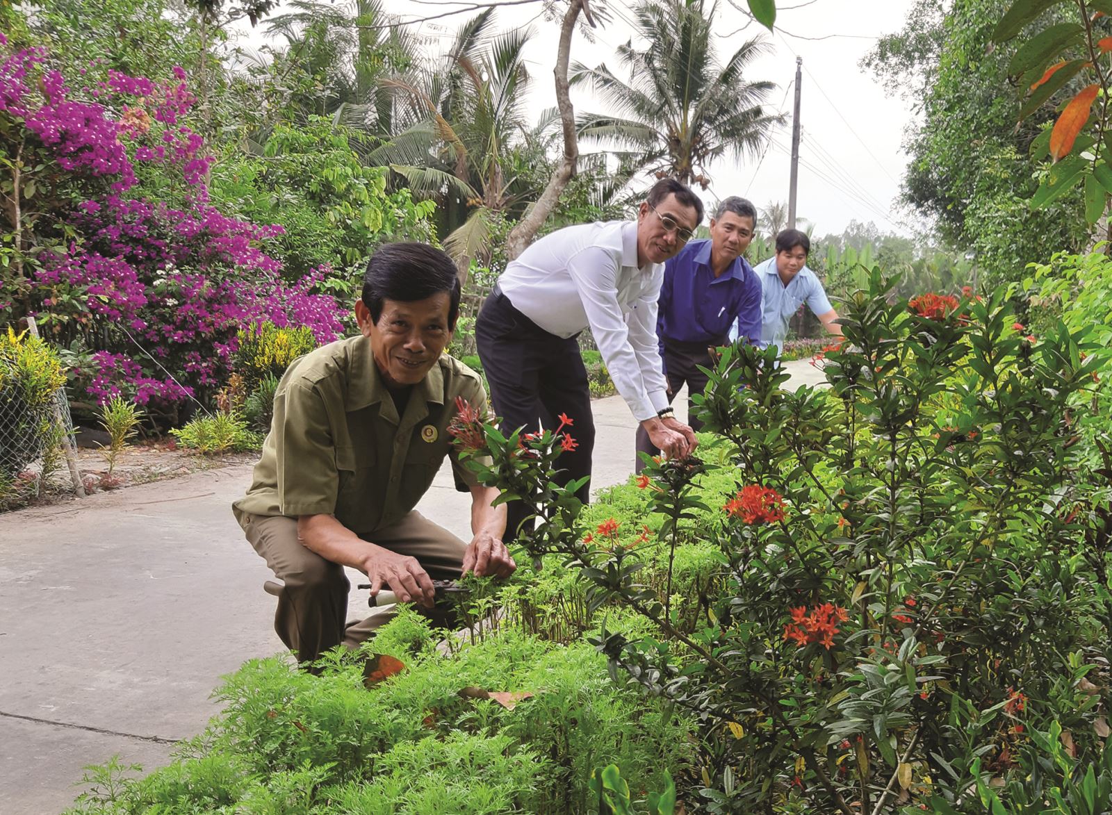 Đường hoa nông thôn mới ở Bạc Liêu đẹp mê tơi, hoa mười giờ, hoa giấy, hoa sao nhái nở chả kịp cản- Ảnh 1.