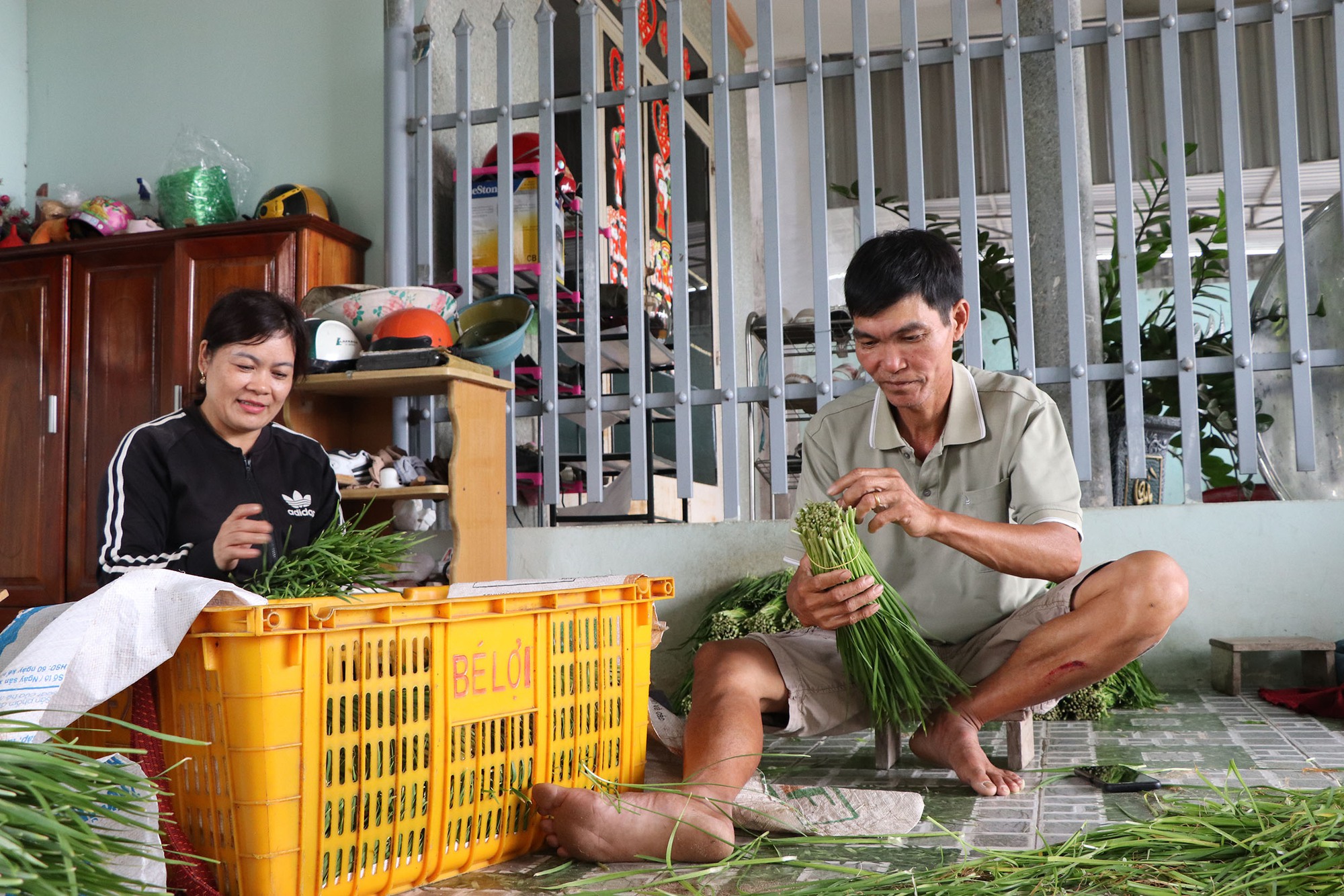 Trồng hẹ thành công, loại rau giàu vitamin nhóm B, lắm canxi, dân Bà Rịa-Vũng Tàu có lương cao- Ảnh 1.