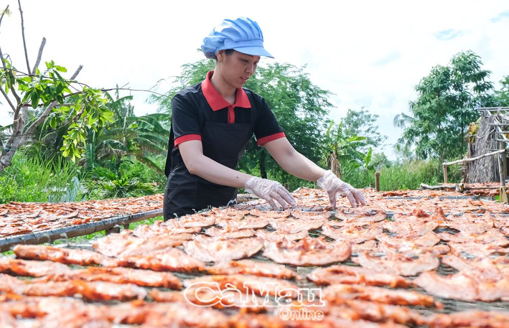 Cá phi-cá rô phi, loại cá rẻ tiền vạn người chê, ở Cà Mau làm khô cá phi, mắm cá phi, nhà giàu thèm- Ảnh 1.