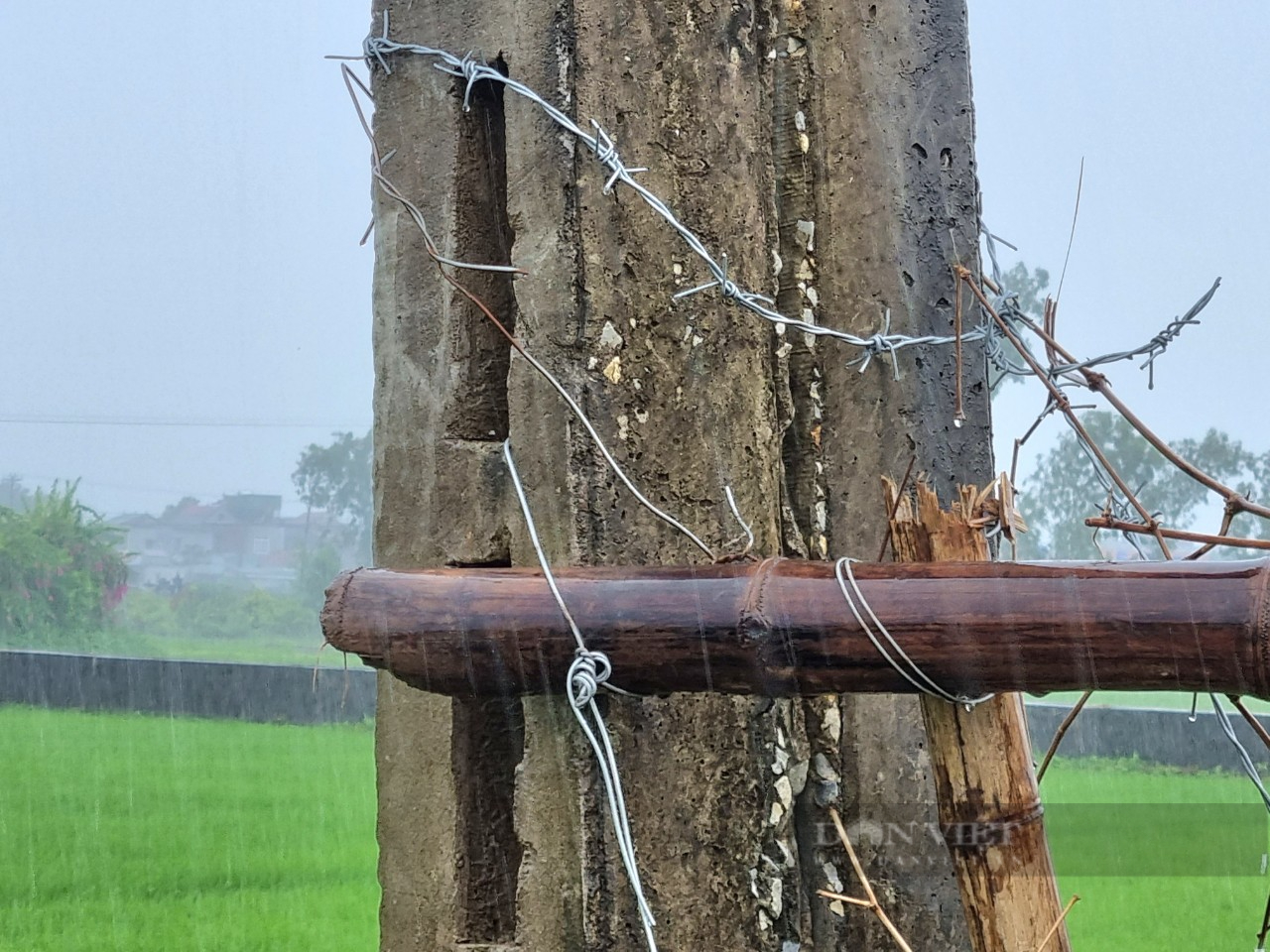 Gần 2 năm dân dựng hàng rào, giăng dây thép gai chặn lối vào một trang trại nuôi lợn ở Ninh Bình- Ảnh 6.