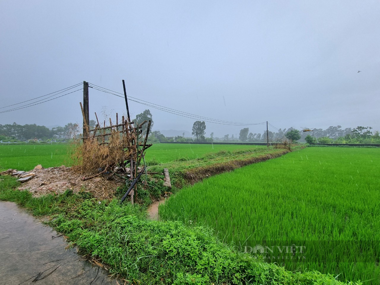 Gần 2 năm dân dựng hàng rào, giăng dây thép gai chặn lối vào một trang trại nuôi lợn ở Ninh Bình- Ảnh 1.