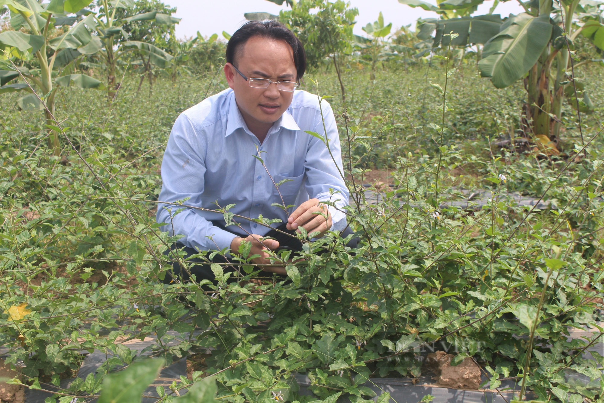 Đi tìm những “làng quê đáng sống”: Chuyện những người ra đi rồi trở về làm giàu cho quê hương (Bài 3) - Ảnh 3.