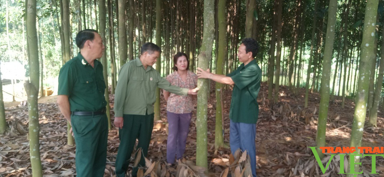 Cựu chiến binh tiên phong xây dưng nông thôn mới và phát triển kinh tế ở Lào Cai- Ảnh 1.